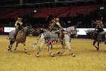 Quadrille - 00731